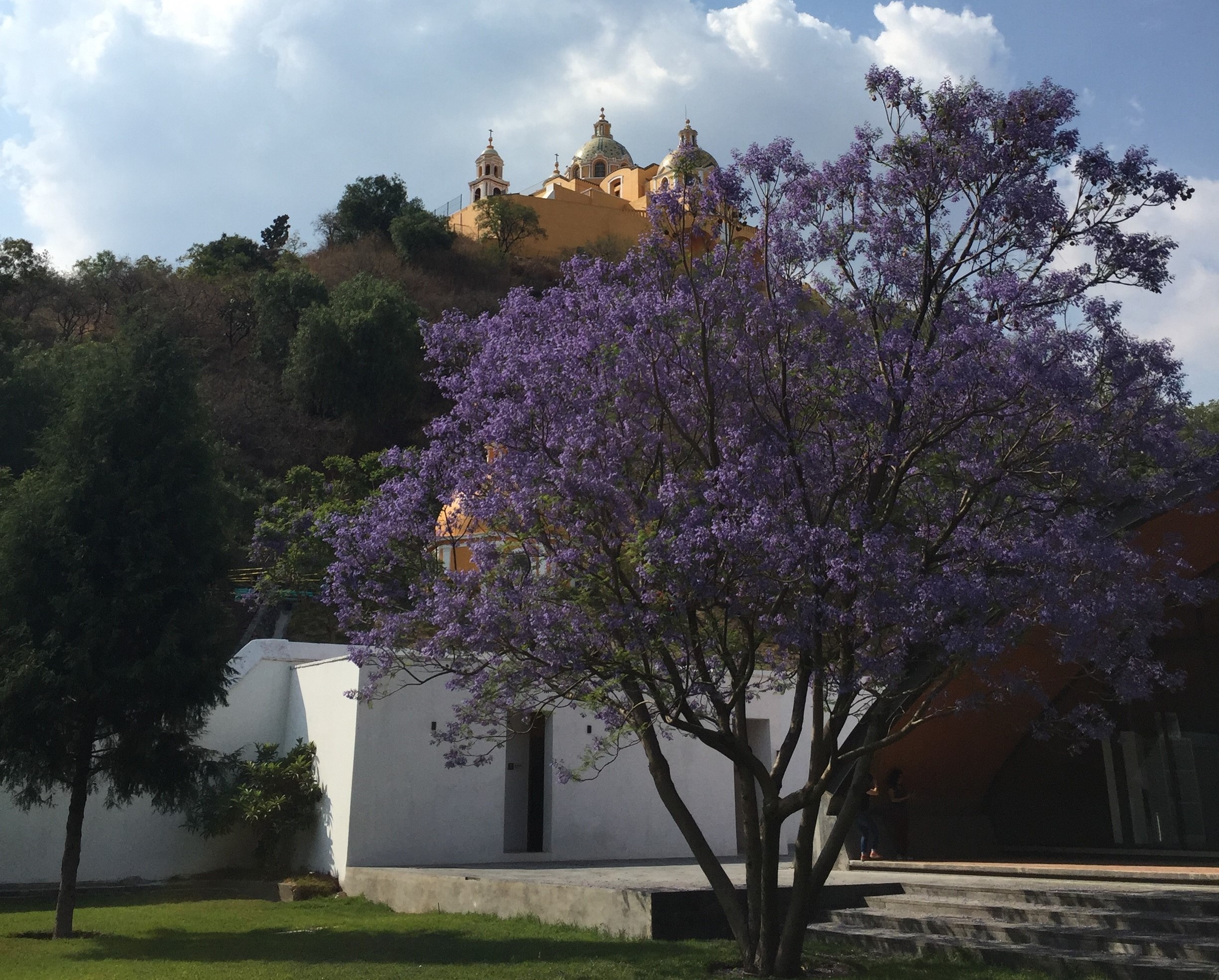 Un paseo de Oro