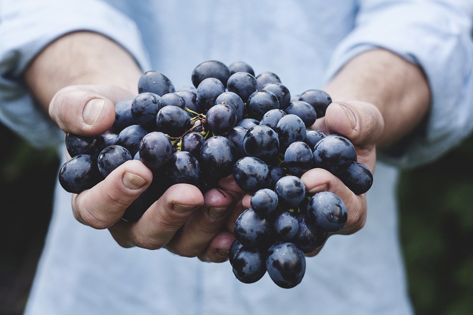 Banco de alimentos: conectar la abundancia con la carencia