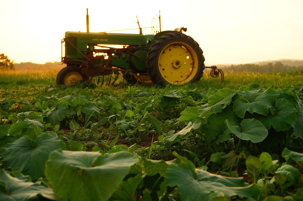 Los Gobiernos de todo el mundo distorsionan la agricultura con sus ayudas