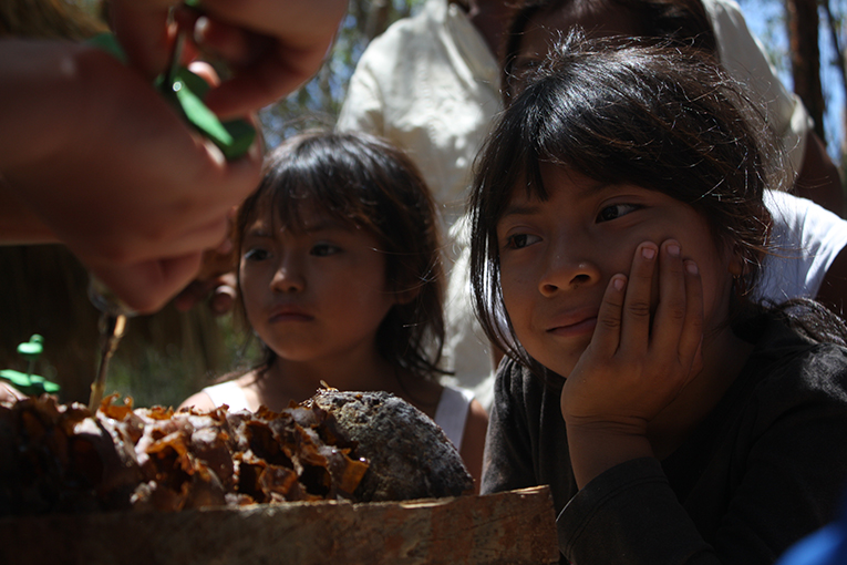 Xunáan Kaab*: La abeja sagrada de los mayas