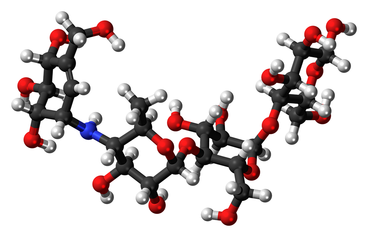 Algoritmos y ciencias de la salud: aplicaciones de todos los colores…